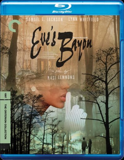 Amores Divididos (1997) Blu Ray Dublado Legendado
