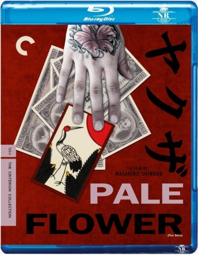 Flor Seca (1964) Blu-ray Legendado